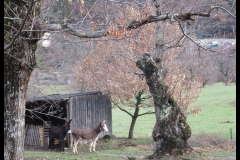 09-anes-RandoLand-Experience-Aubrac-2018