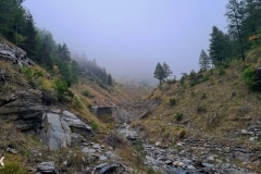 Paysage de montagne sous la brume